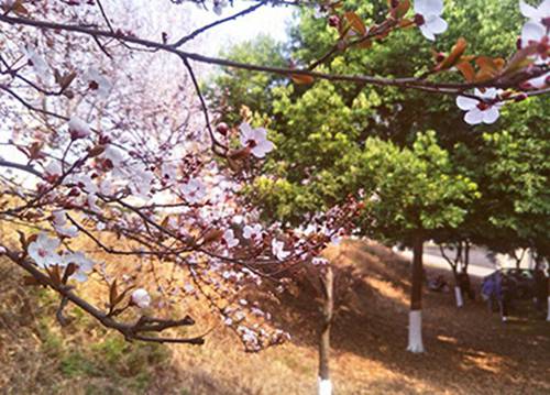 南阳2023年读农业机械使用与维护专业哪所中专学校好